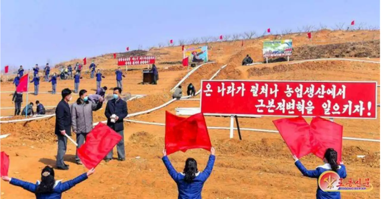 김정은 딸 디올 휘감을때…북한 주민엔 '풀뿌리 연명 투쟁하라' | 중앙일보