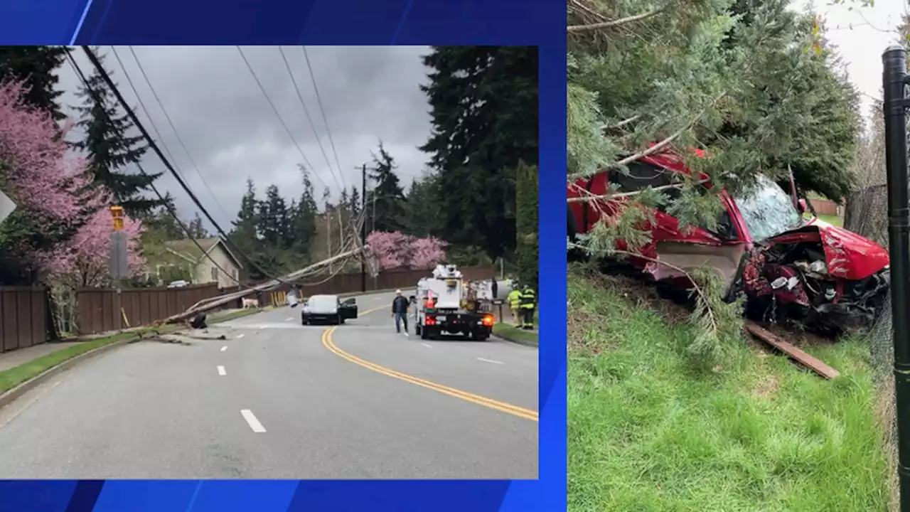 Edmonds driver knocks down powerline, goes through fence in suspected DUI