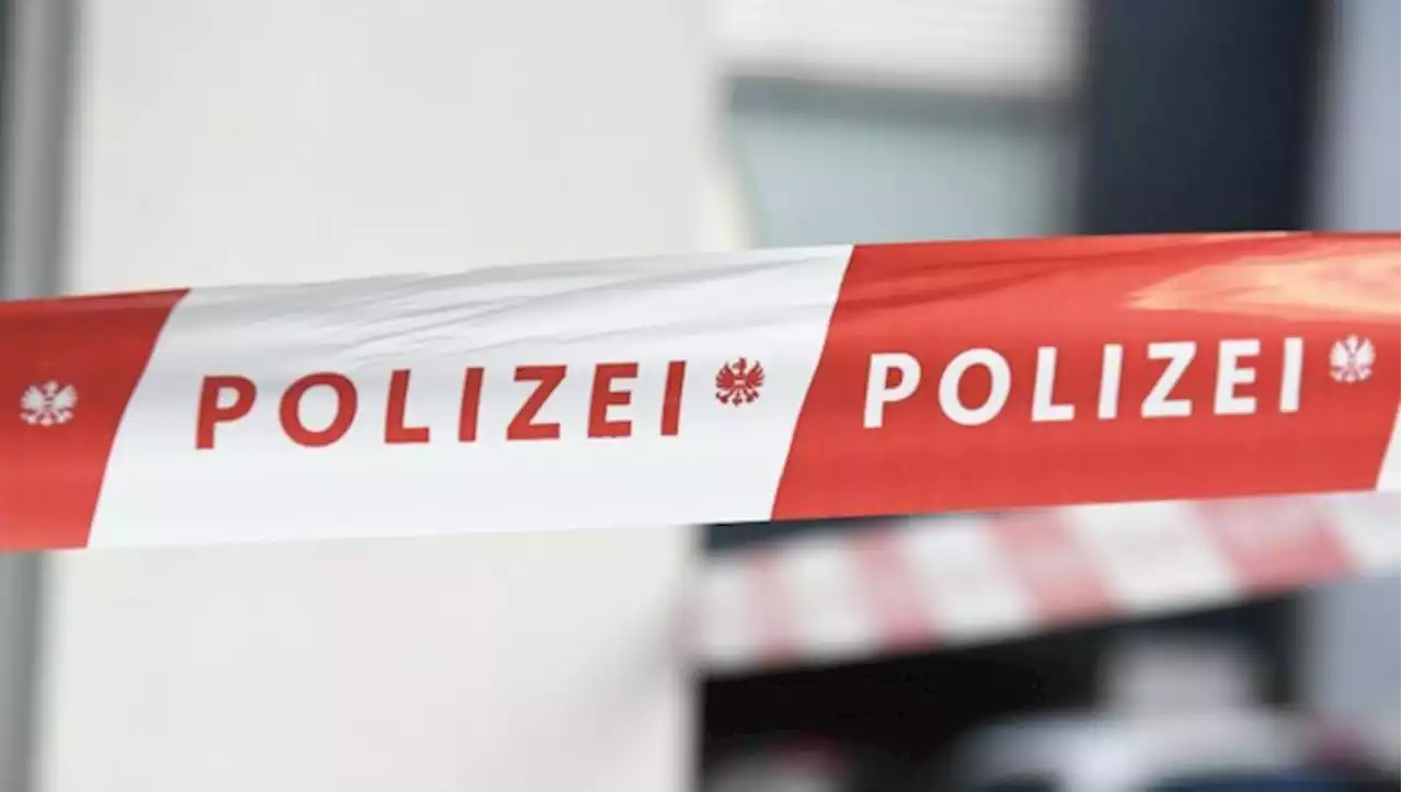 Mord in NÖ: Sohn ersticht Mutter, Vater verletzt