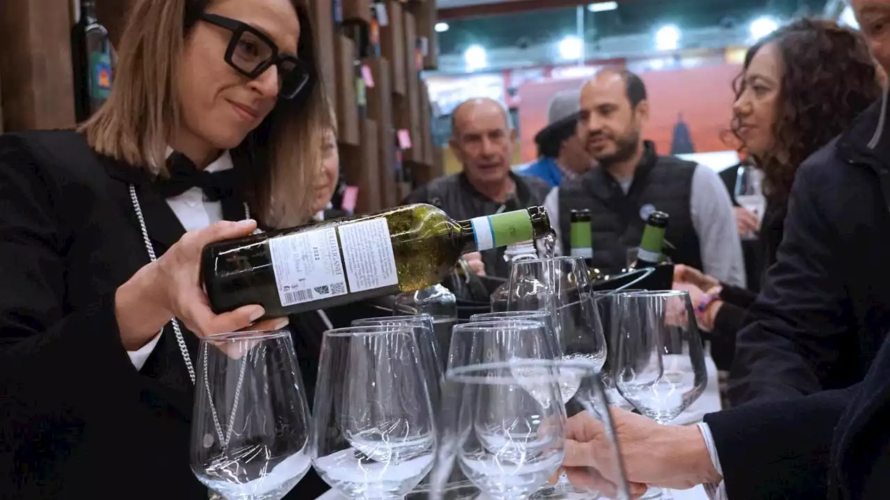 Meloni al Vinitaly: “Il nostro dovere è sostenere questo mondo. Il vino è anche cultura”