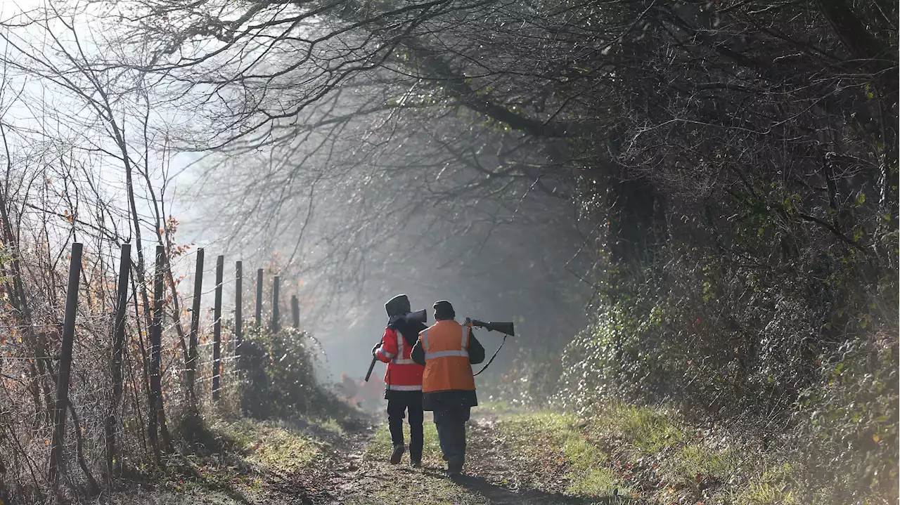 Cette ville s’est accordée avec les chasseurs pour interdire la chasse le dimanche après-midi (et ça fait des émules)