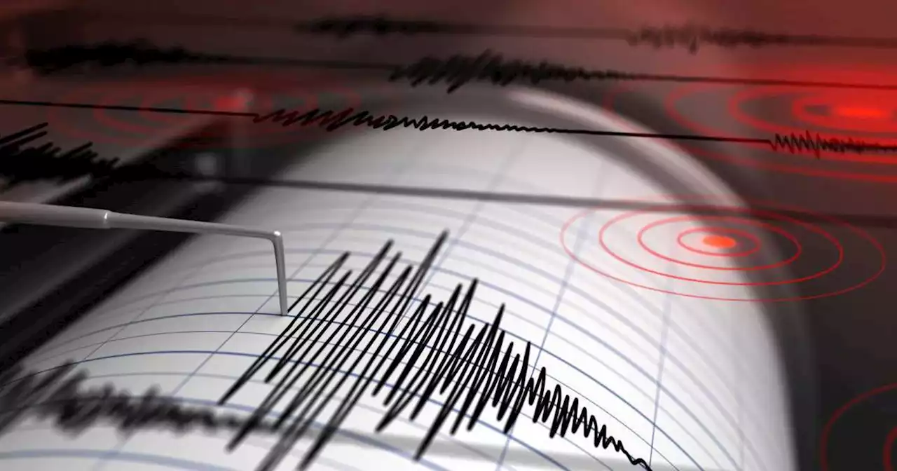 7.0-magnitude quake hits western Papua New Guinea: USGS ​