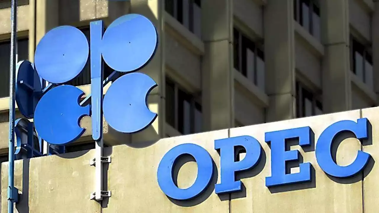 Oil prices soar almost 6% after OPEC+ output cut