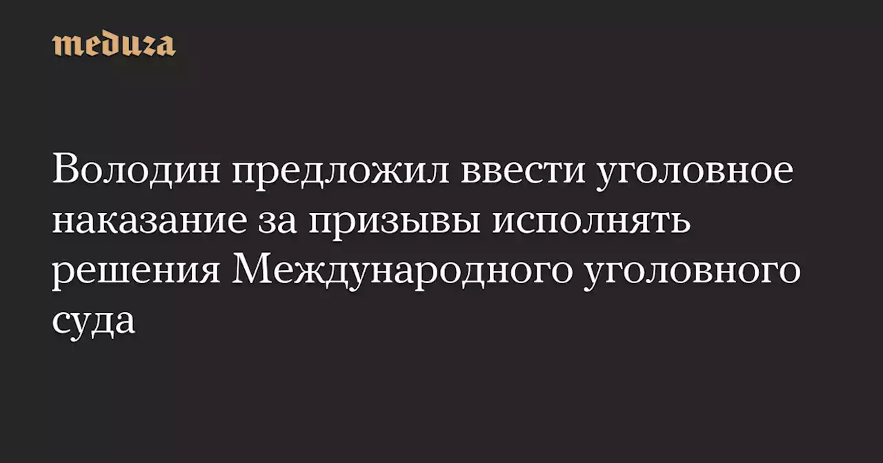 Володин предложил ввести уголовное наказание за призывы исполнять решения Международного уголовного суда — Meduza