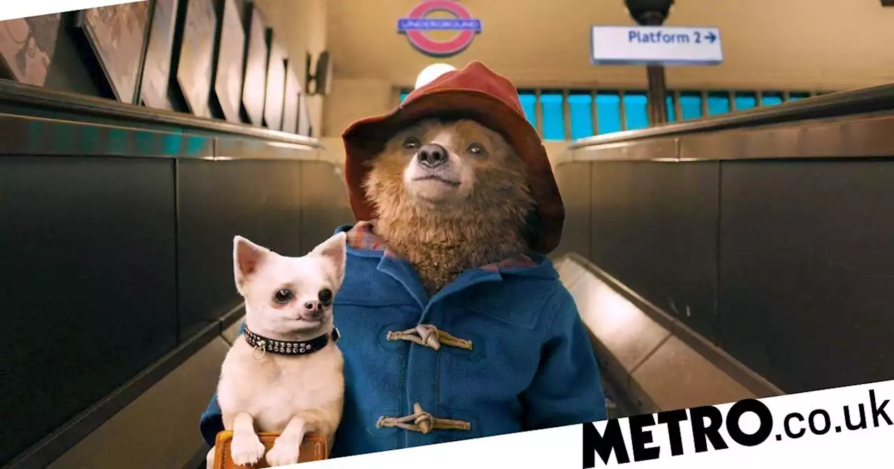 Paddington 3 to finally start filming this summer, 6 years after sequel