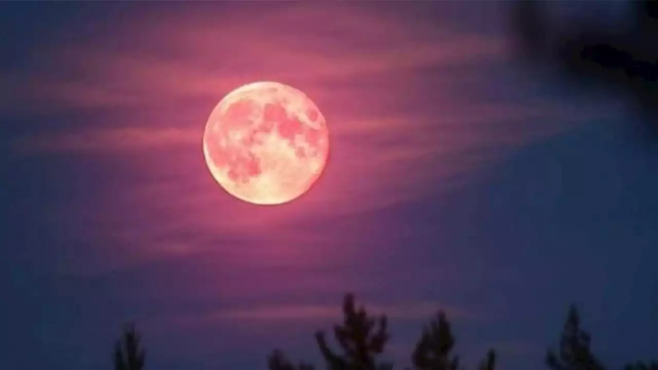 Otro regalito del cielo: En abril se verá la Luna Rosa, ¿cómo y cuándo verla?