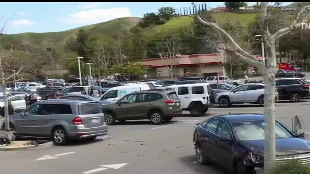 Watch: Woman Attempts to Carjack Driver and Rams Into Cars in Agoura Hills Parking Lot