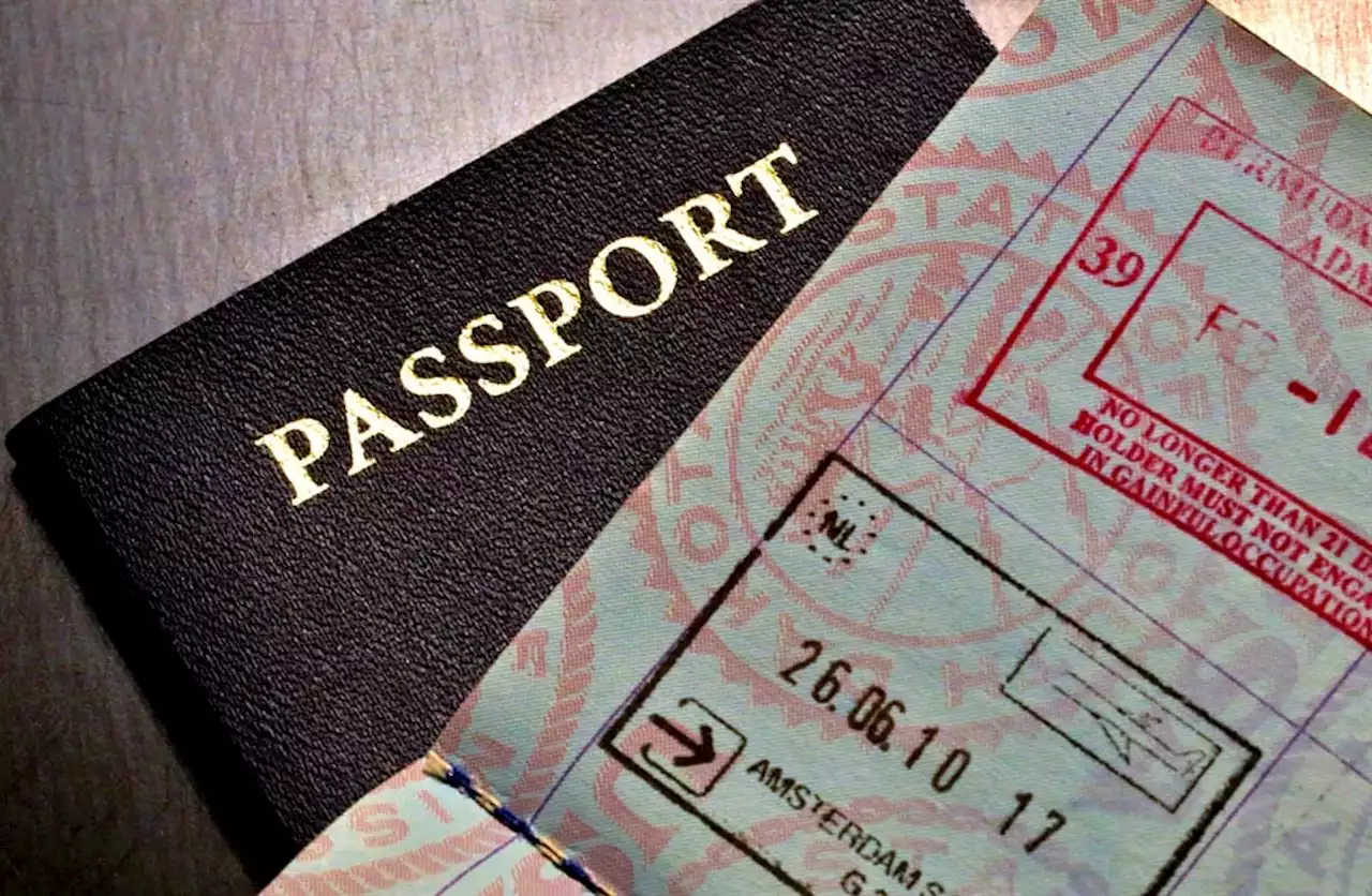 Ramaphosa must urgently solve visa mess, says BLSA | Business