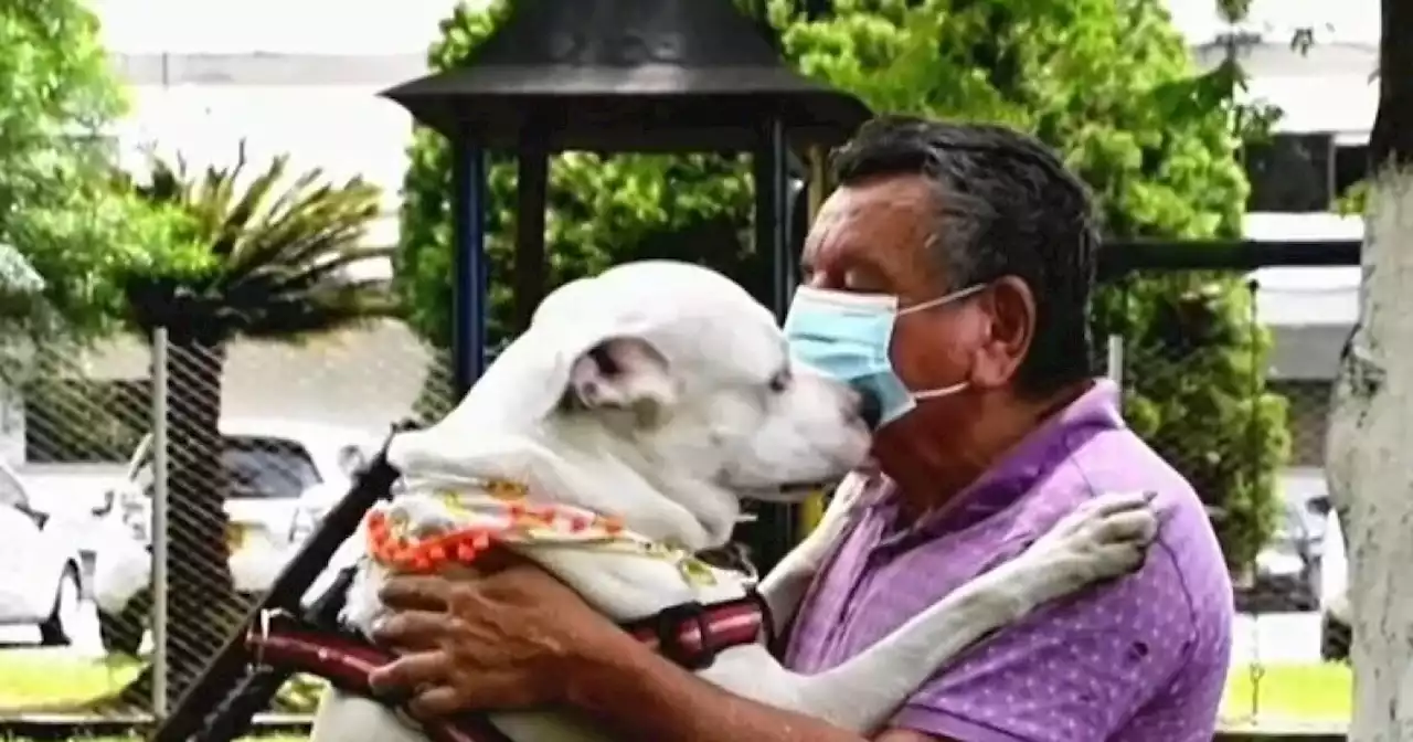 Murió Jaime León López, reconocido animalista en Antioquia que fue víctima de ataque a puñaladas