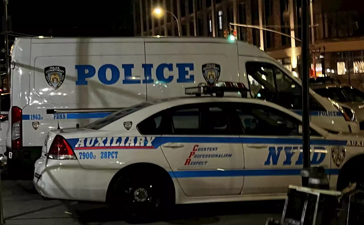 Prisoner death in Midtown precinct under investigation - New York Amsterdam News