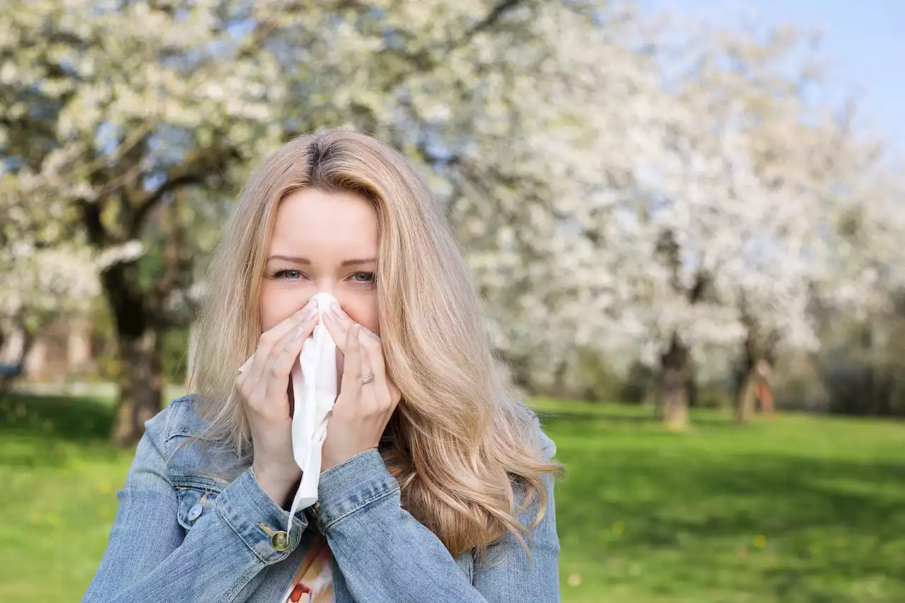 Many people would take a pay cut to escape allergy hell: poll