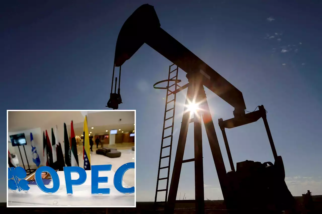 Oil prices spike 8% as OPEC+ cut stokes US inflation fears