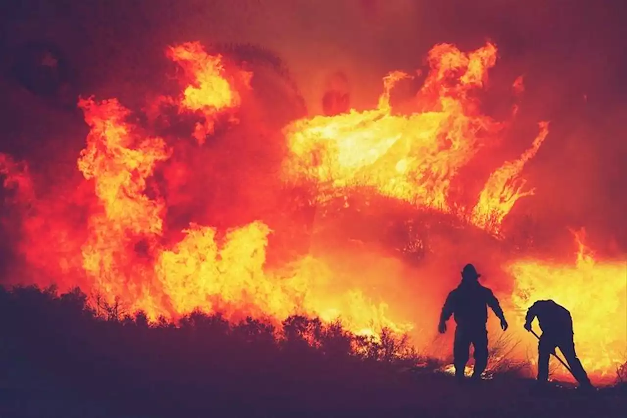 Kebakaran Hutan di Seoul, Pemadam Sedot Air dari Sungai Han hingga Ratusan Warga Dievakuasi