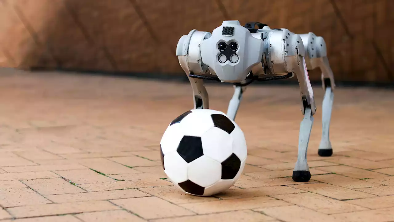 MIT's soccer-playing robot dog is no Messi, but could one day help save lives