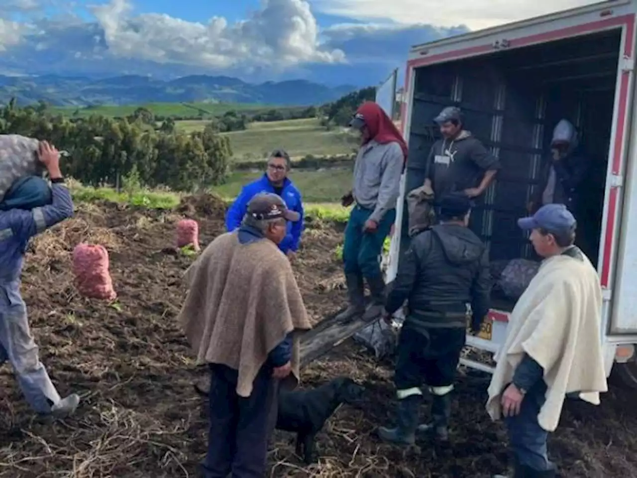 El nuevo 'dólar' que lanzó Argentina para fortalecer el agro