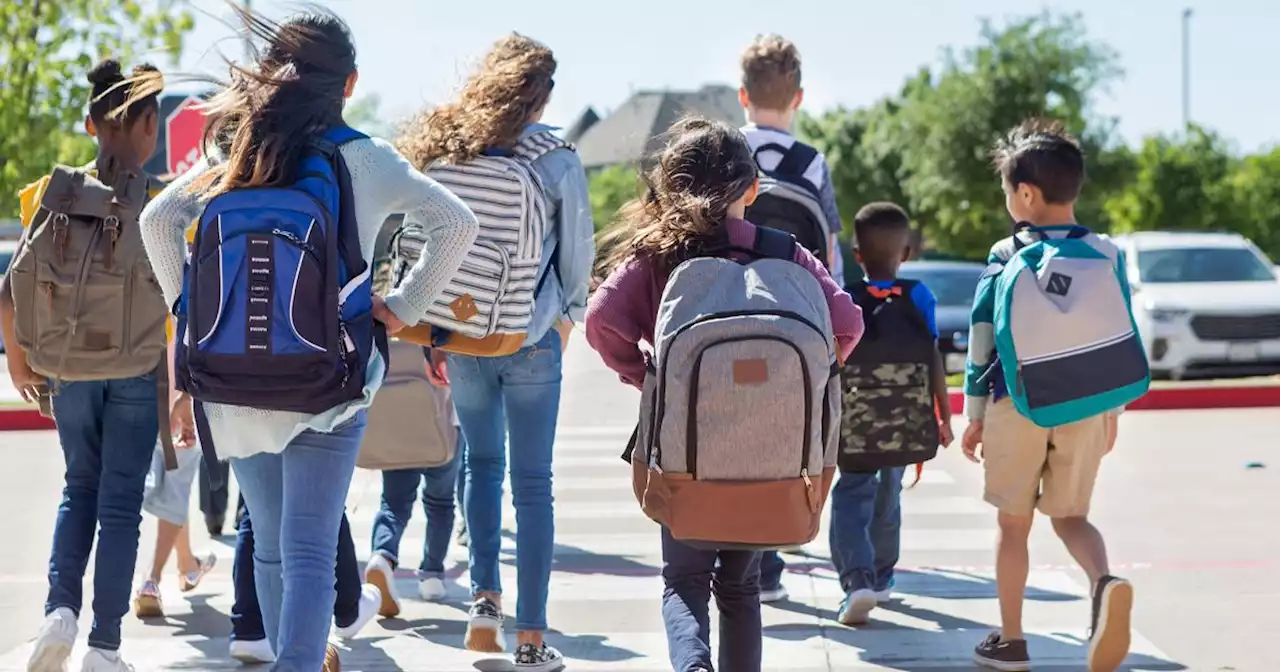 Viaggi di istruzione, Valditara: 50 milioni di euro per le scuole