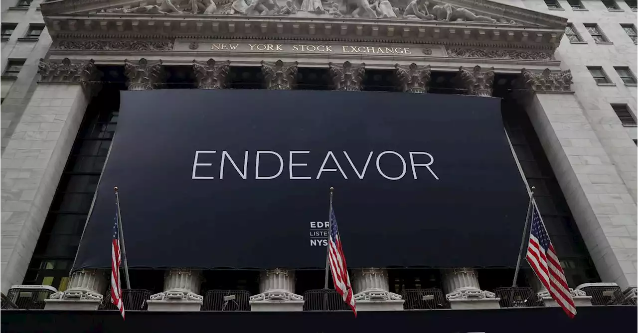 Endeavor in talks to buy World Wresting Entertainment