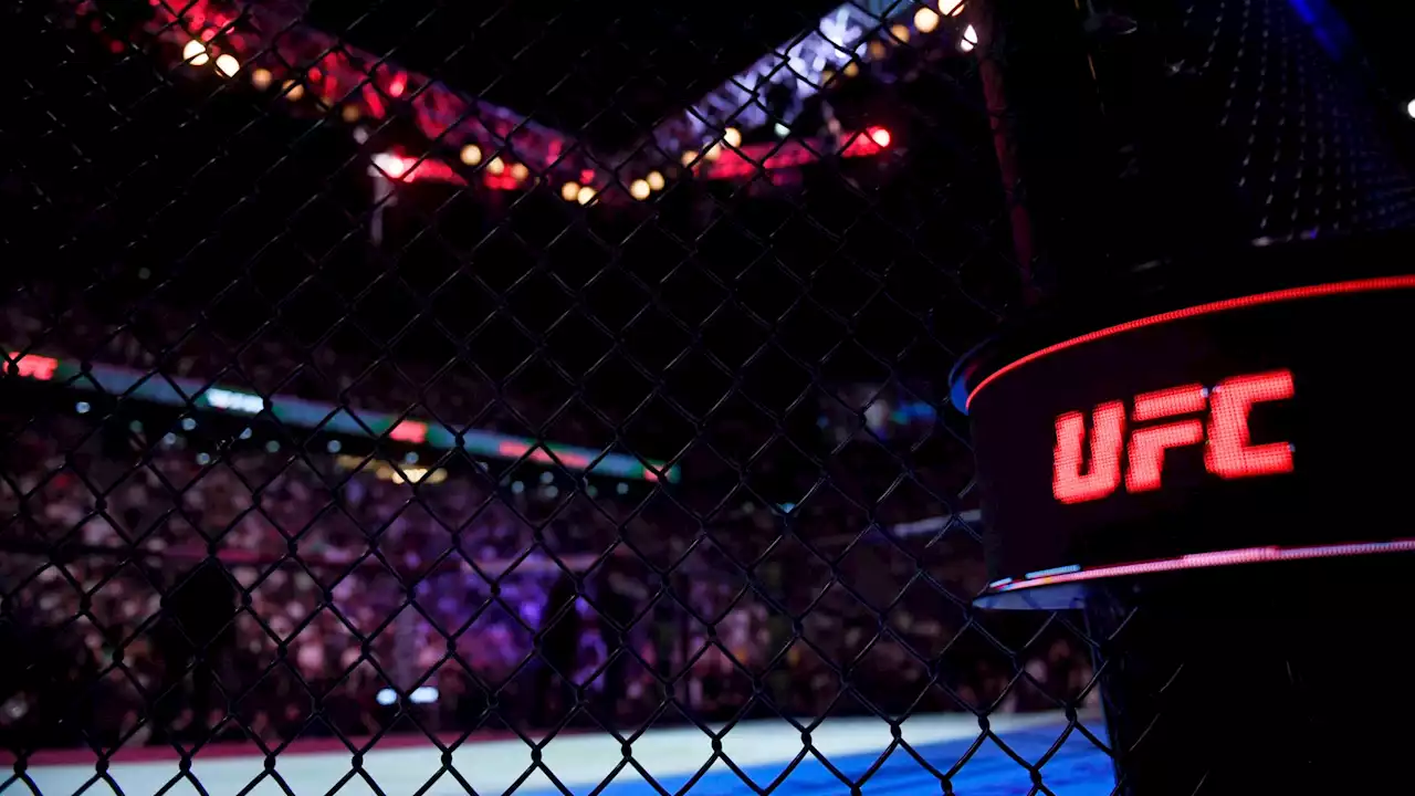 Sports de combat: l’UFC et la WWE vont fusionner