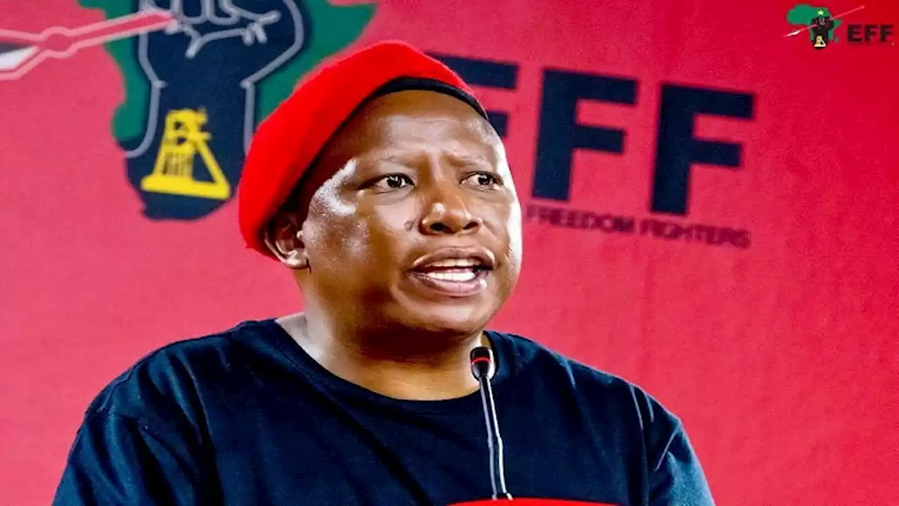 SA must stand in solidarity with LGBTQIA+ community in Uganda: Malema - SABC News