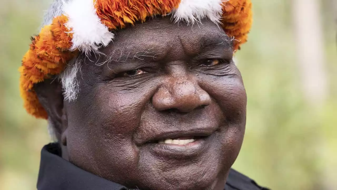 Yunupingu trailblazing giant of Aboriginal land rights dies