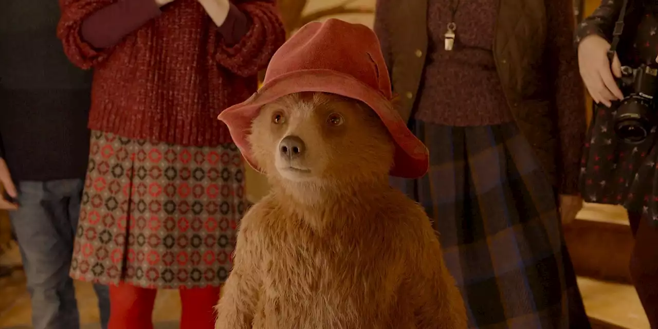 Paddington 3 Filming Date Confirmed (& He's Returning To Peru Quite Soon)