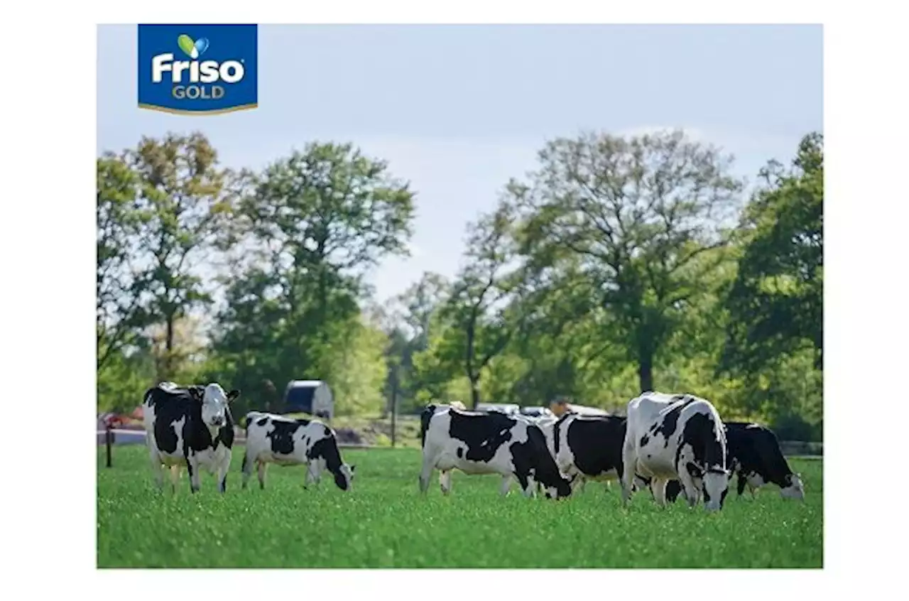 Optimal nutrition for your little one with Friso Gold