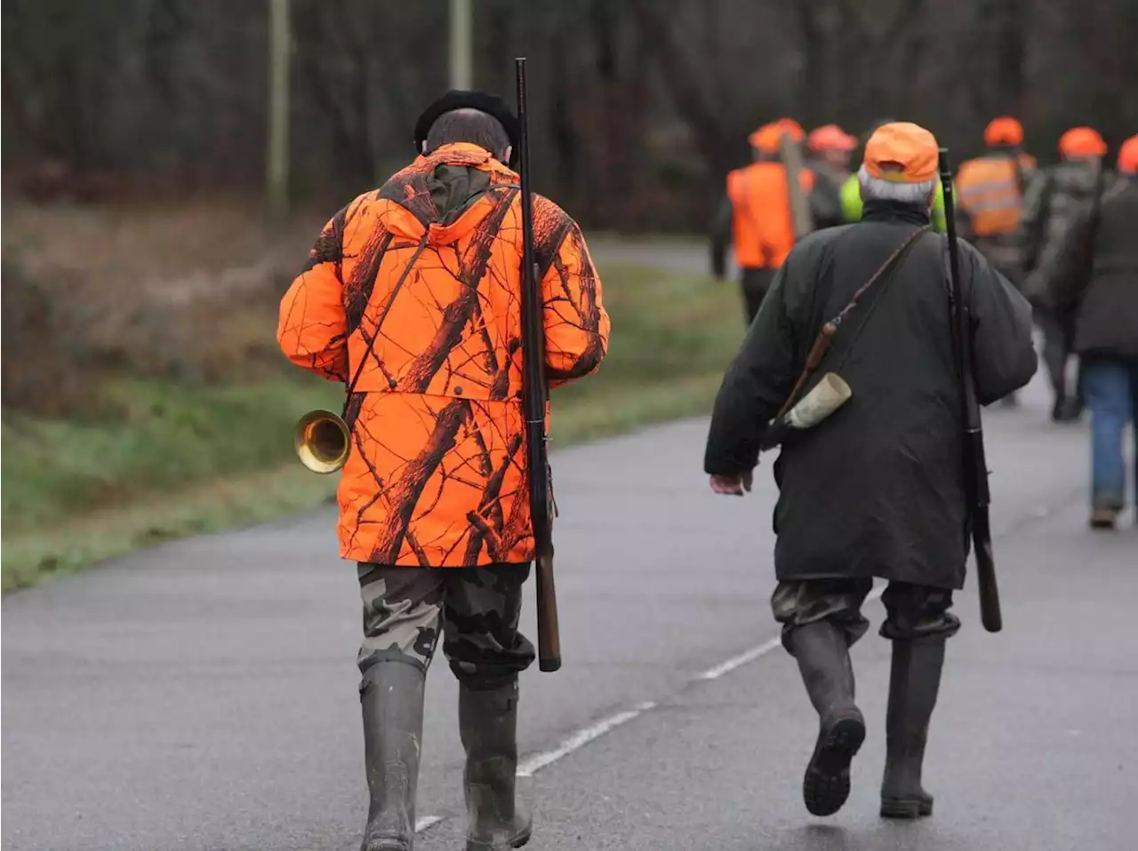 La chasse interdite le dimanche après-midi dans une commune, une décision prise avec les chasseurs