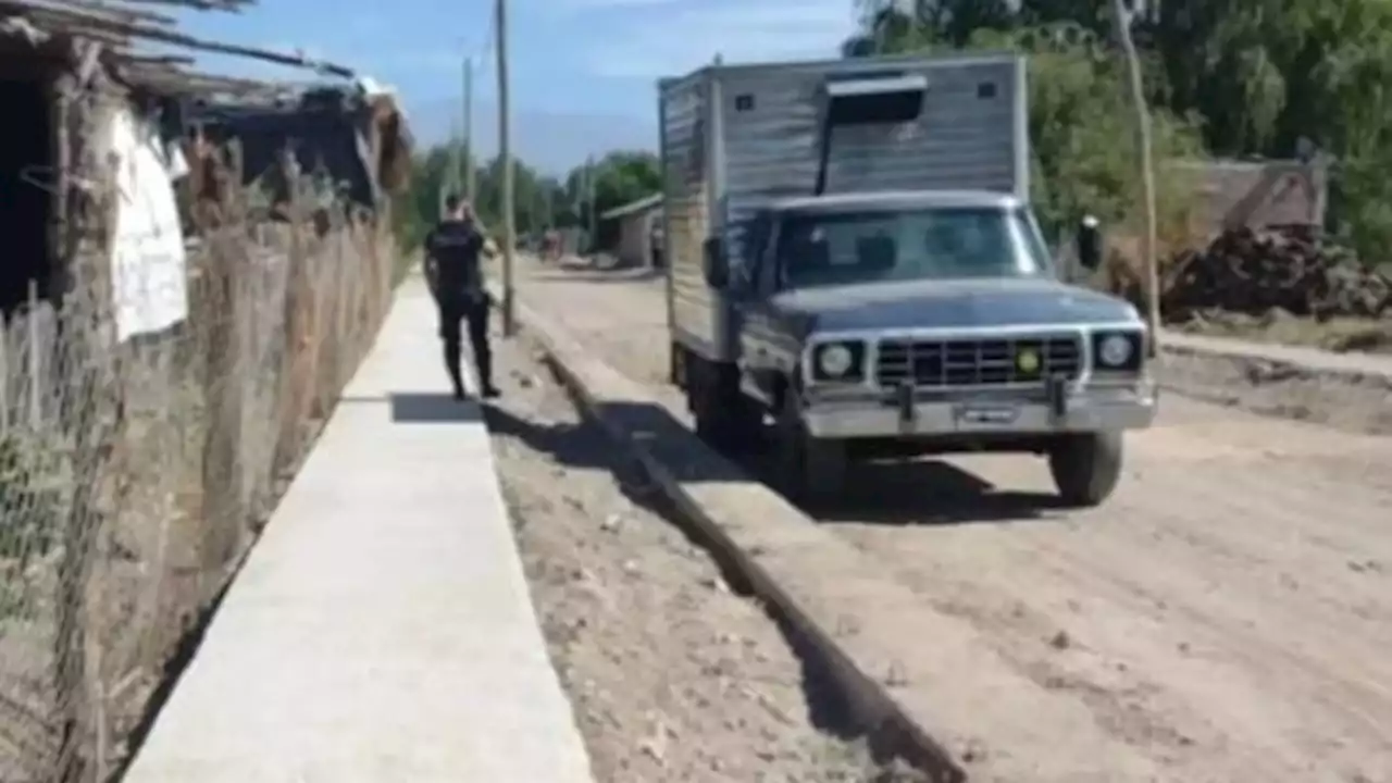 Un camión en marcha atrás atropelló y mató un niño de dos años en Mendoza