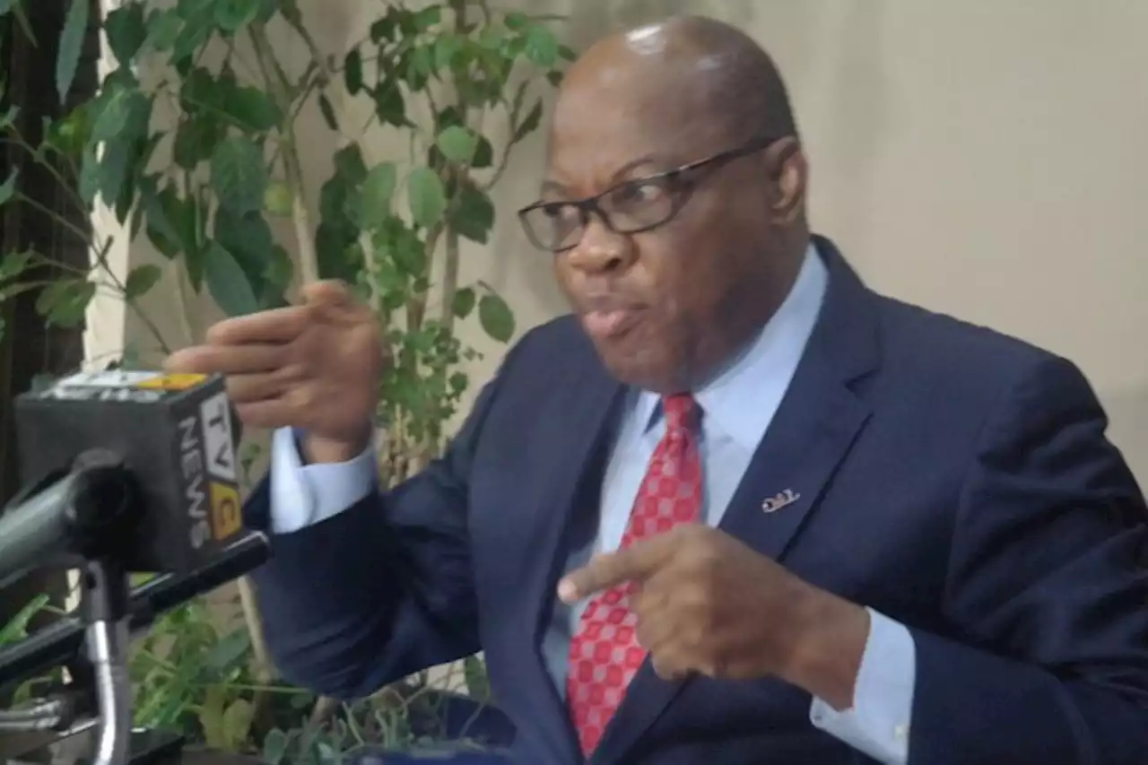 Interim government plot: Decide presidential petitions before May 29, Agbakoba tells tribunal | TheCable