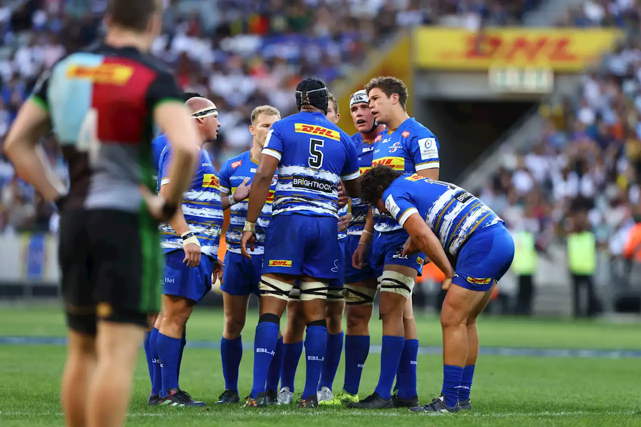 White warns Sharks, Stormers: 'You're now up against European powerhouses' | The Citizen