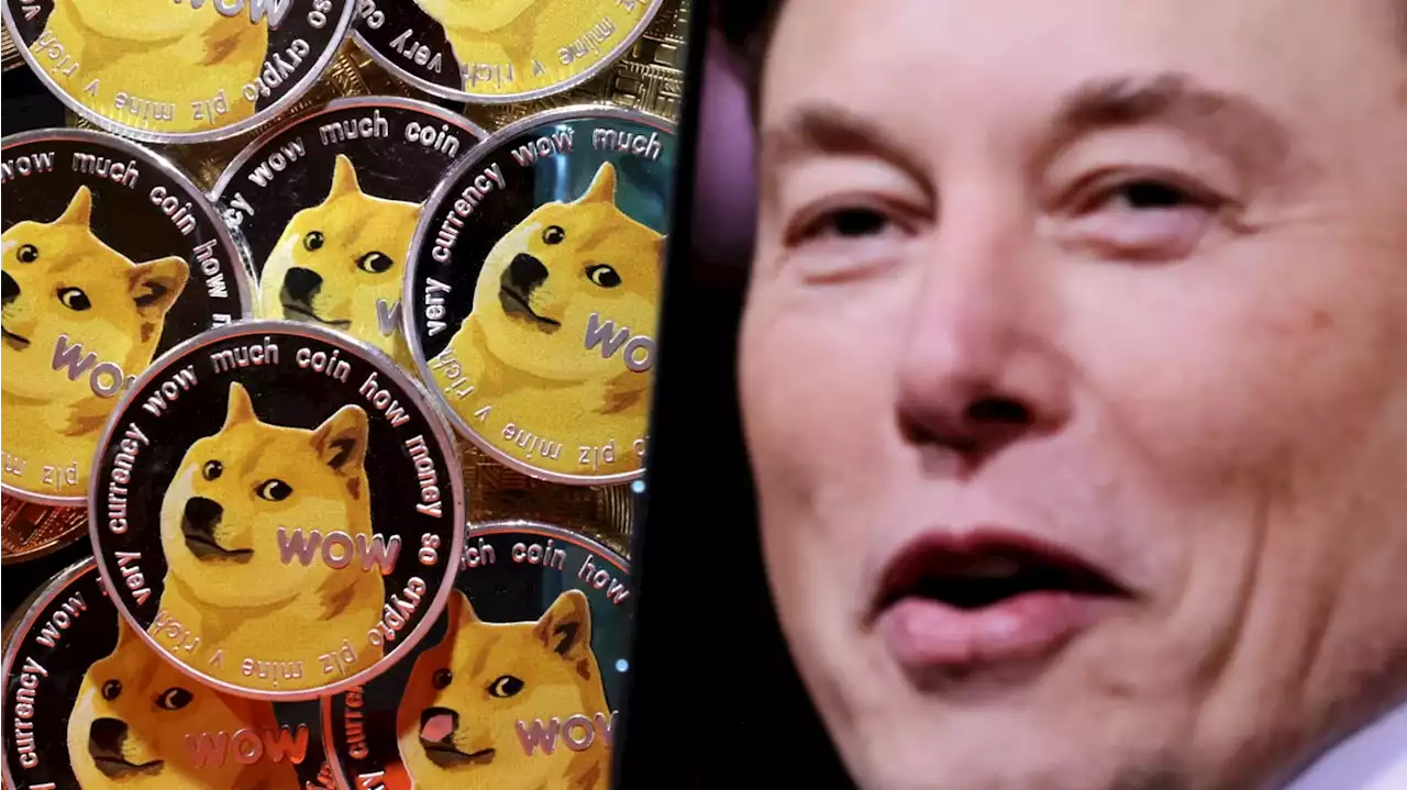 Twitter Replaces Bird Logo With Doge Meme as Musk Asks Judge to Chuck $258B Suit