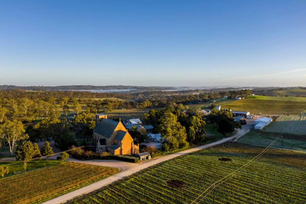 The most enjoyable way to see South Australia's wine regions as a solo traveller