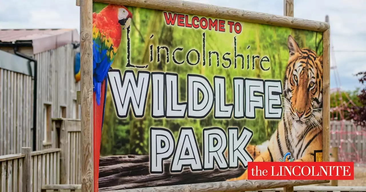 Lincolnshire Wildlife Park forced to closed after lorry hits pylon