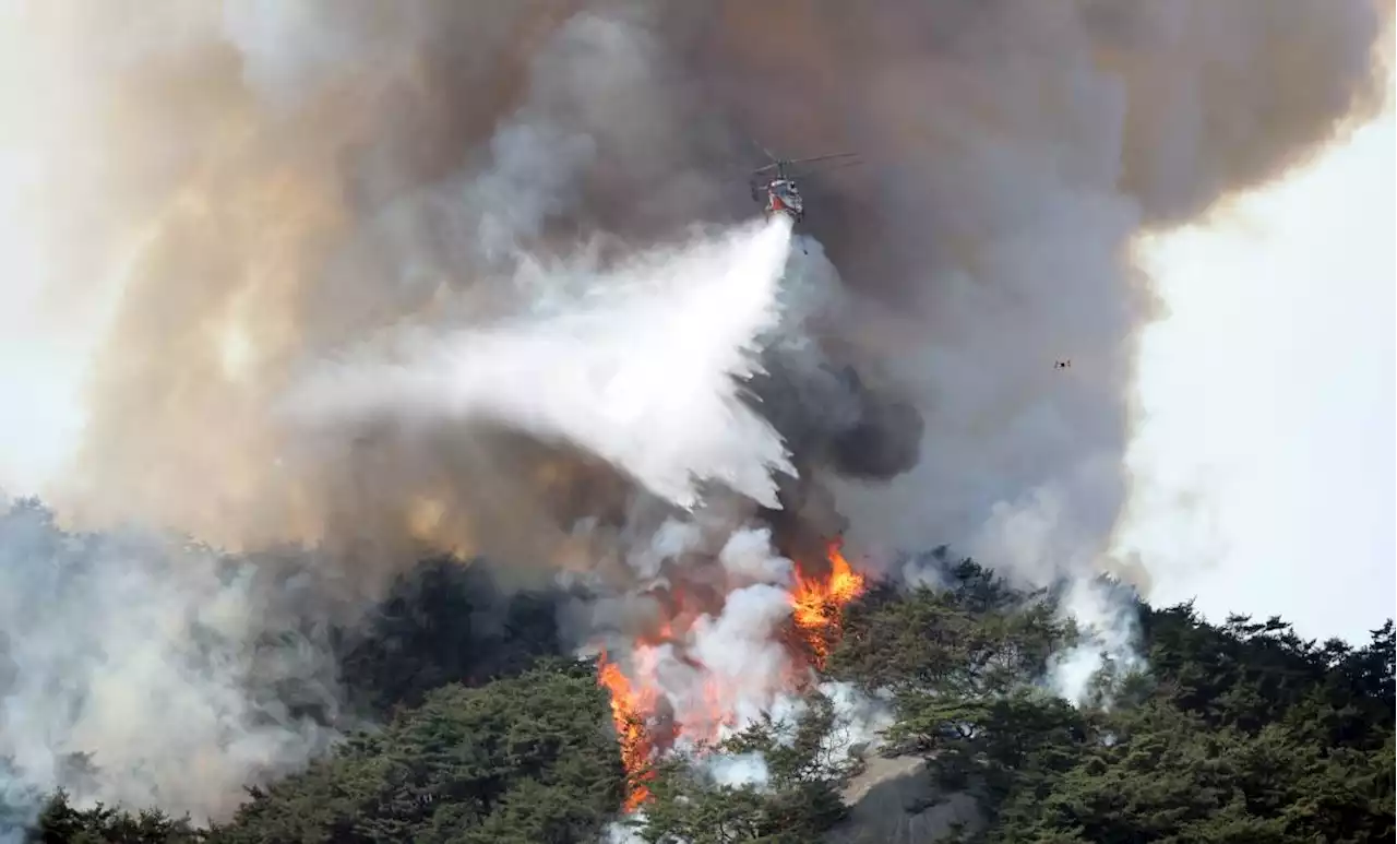 Dry spell leads to wildfires across South Korea