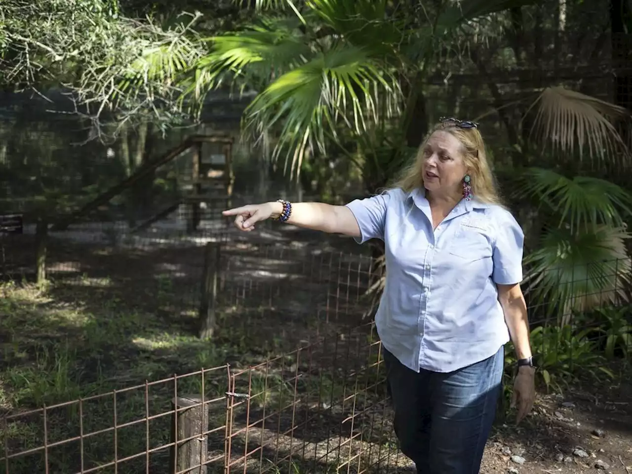 Owners of big cat refuge from 'Tiger King' selling property