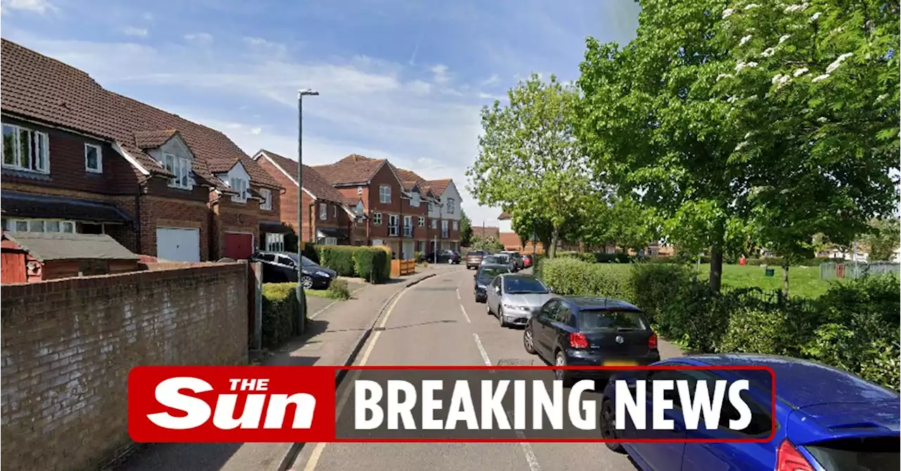 Girl, 11, rushed to hospital after being attacked by dog as woman arrested for having animal dangerously out of control