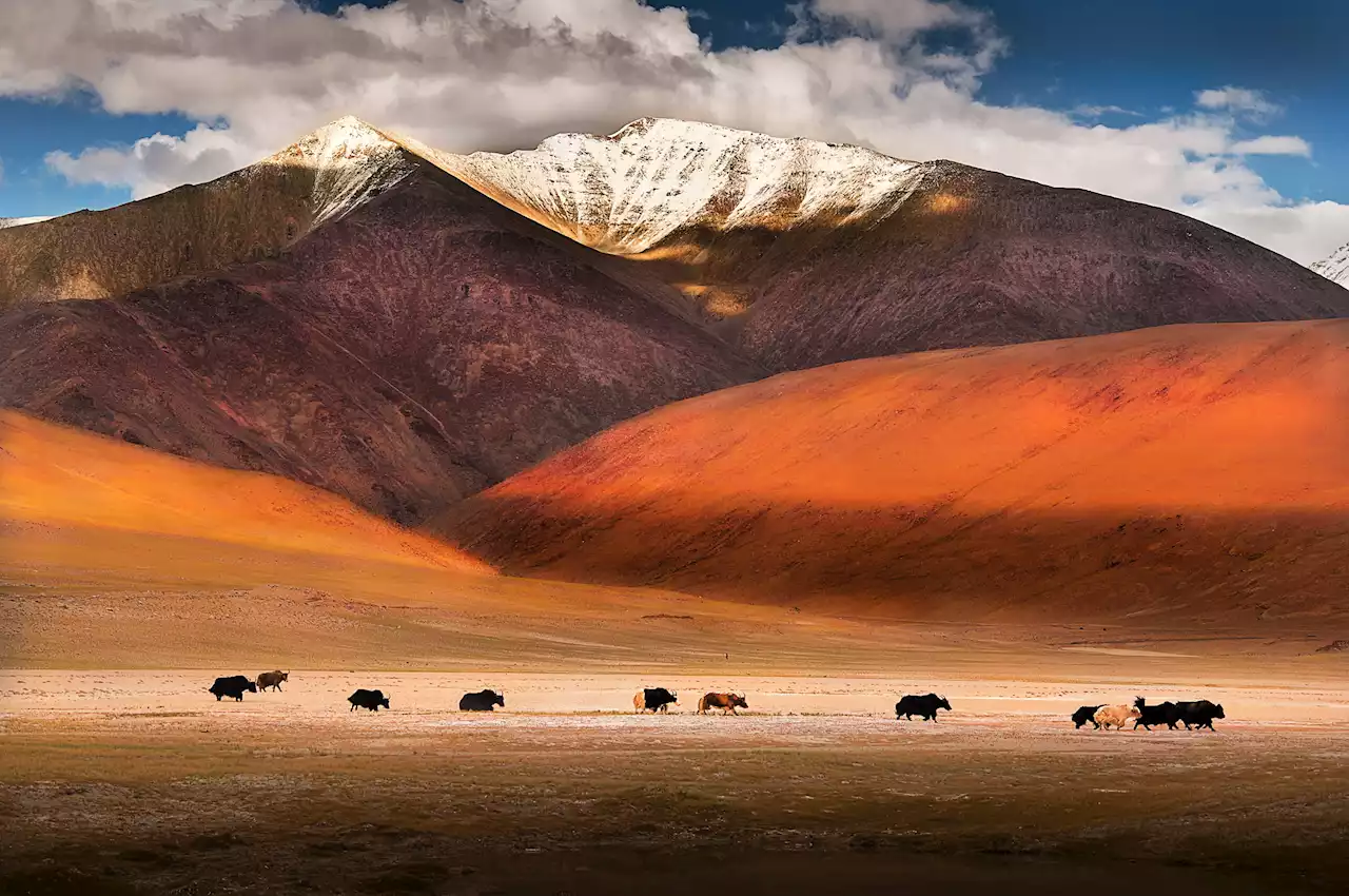 Ladakh, India