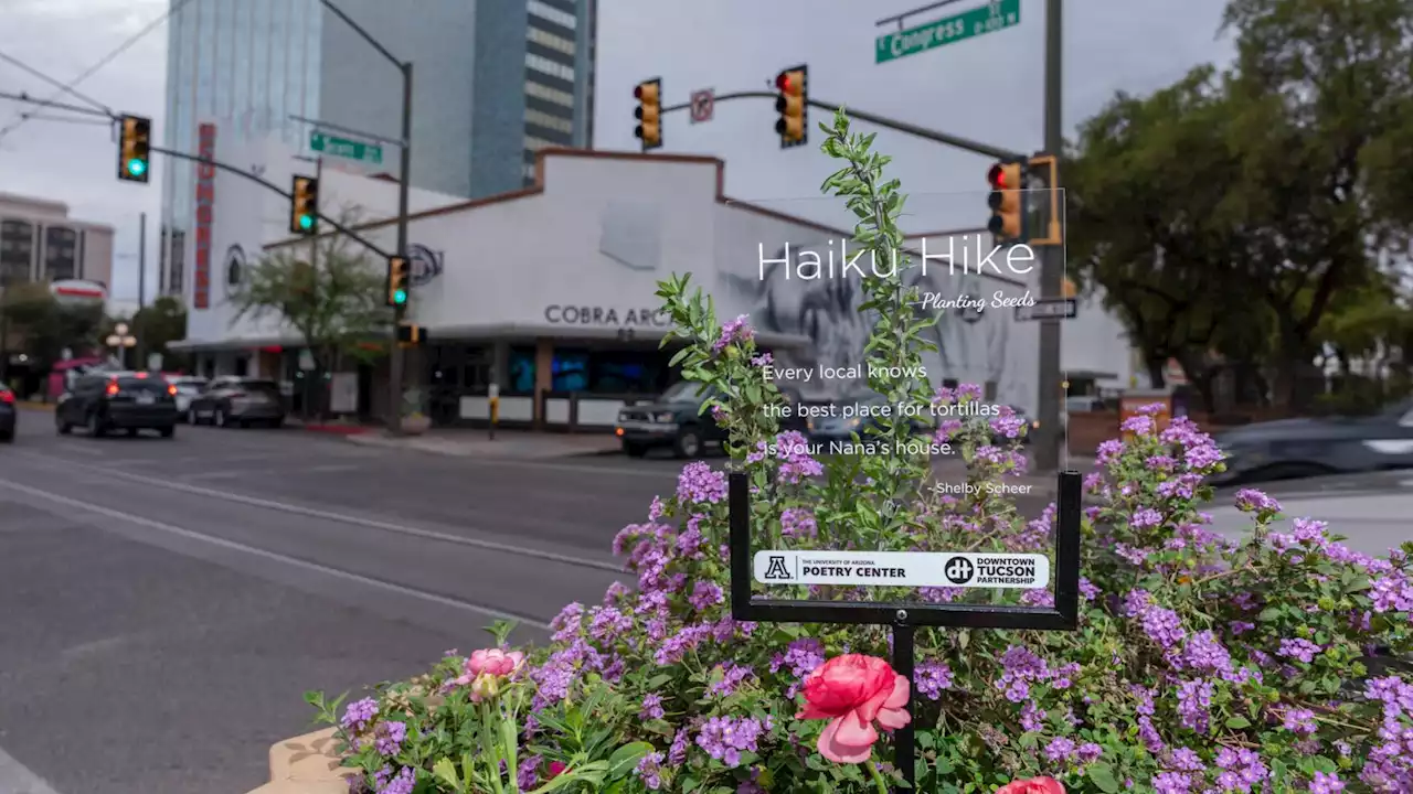 Go on a haiku hike in downtown Tucson