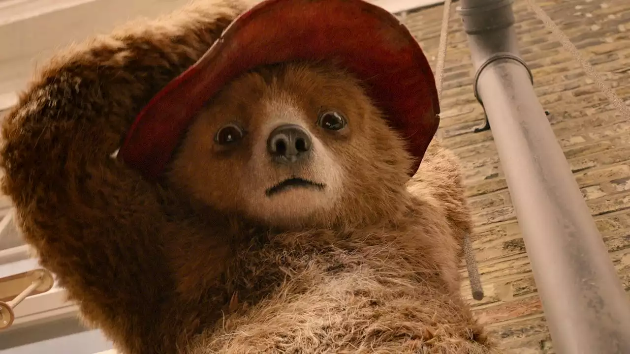 Paddington Is Going to Peru For His Third Film