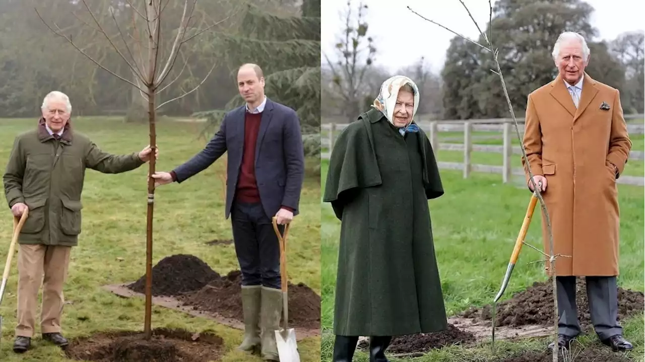 L'ultimo progetto sentimentale della regina Elisabetta, sette mesi dopo la sua morte