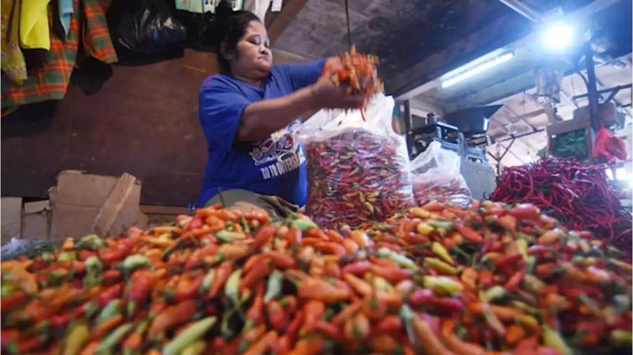 Daftar Harga Pangan 3 April 2023: Cabai, Beras hingga Daging Sapi Turun