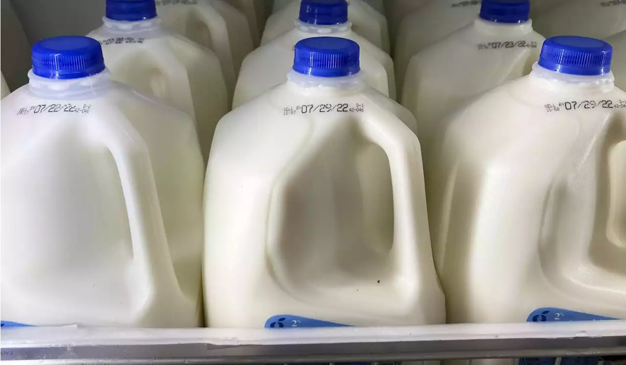 USDA proposes 25% cut to milk provided to low-income families