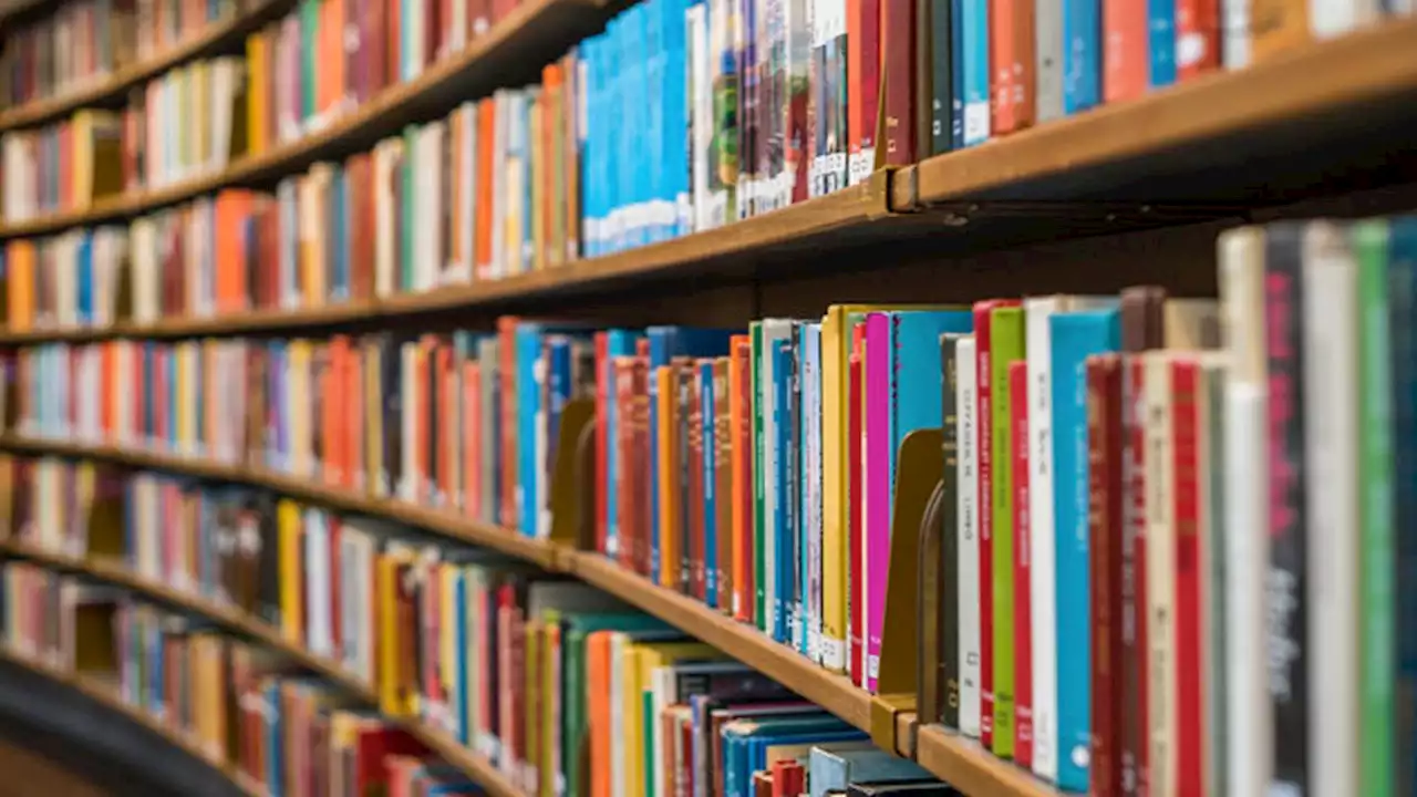 Texas county's book ban overruled, titles coming back to libraries