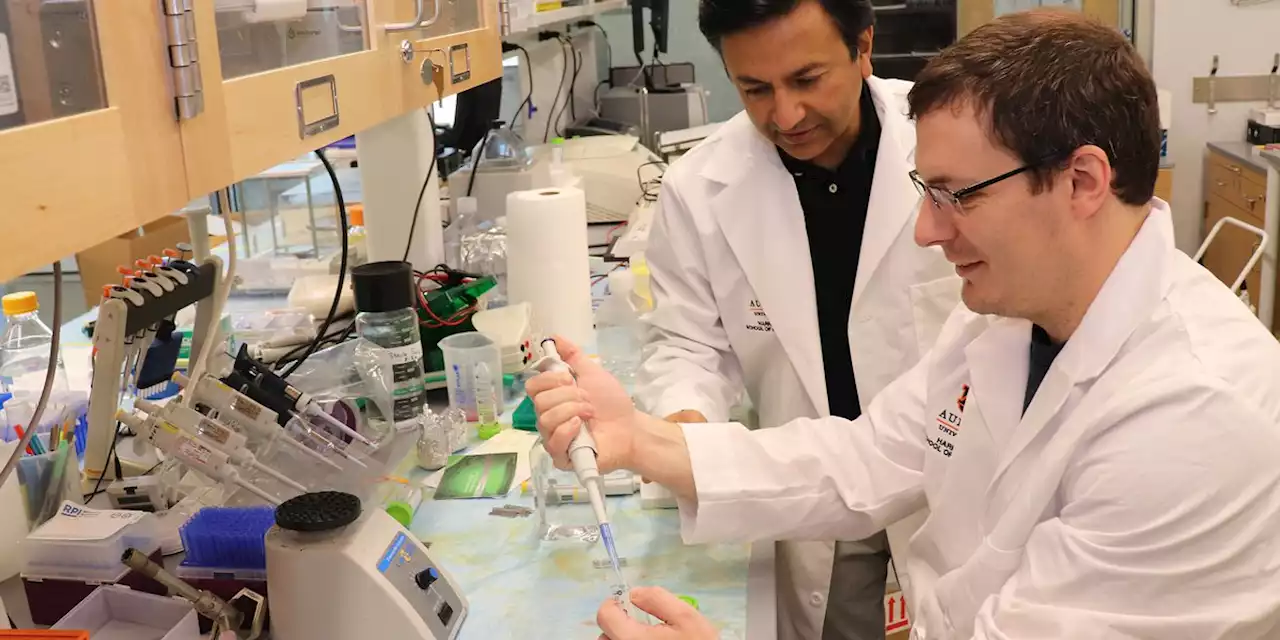 Auburn University pharmacy team developing new Alzheimer’s therapy