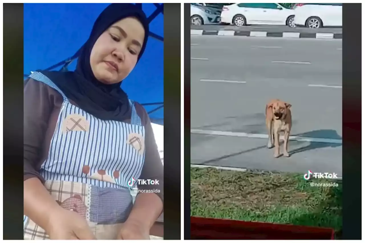 Penang nasi lemak seller ‘Kak Ida’ praised online for feeding hungry stray dog every morning (VIDEO)