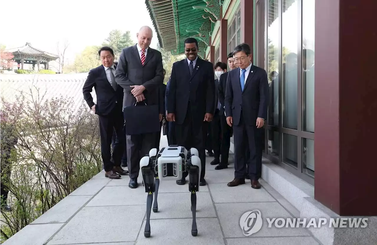 최태원 '한국과 부산은 준비가 됐다'…재계, 실사단 오찬 총출동(종합) | 연합뉴스