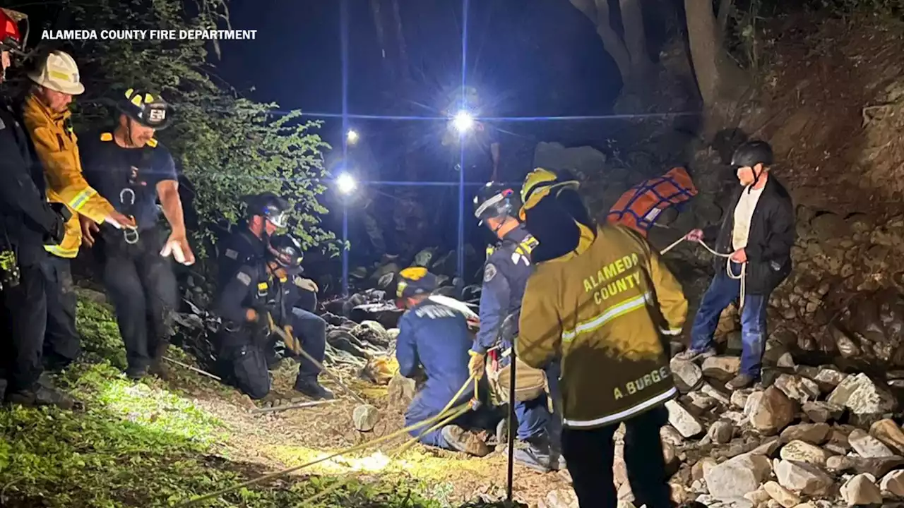 Rider hurt, horse dies after falling 40 yards into Union City creek, fire department says