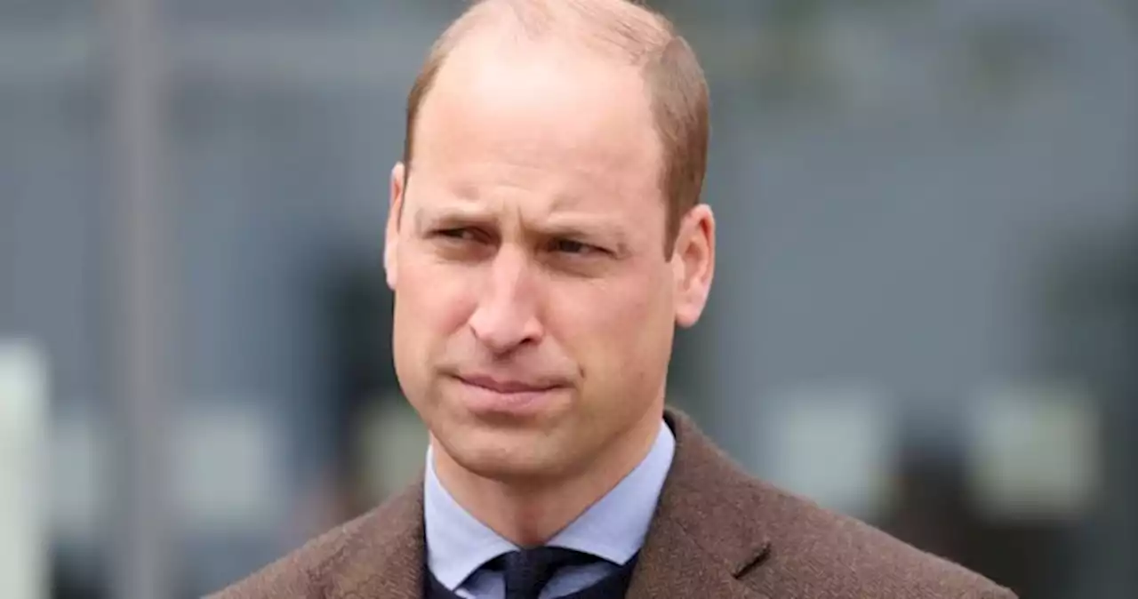 Prince William to star in fly-on-the-wall documentary series