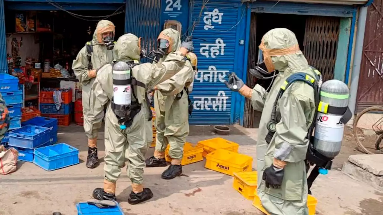 Gas leak in northern India leaves 11 dead, 4 hospitalized