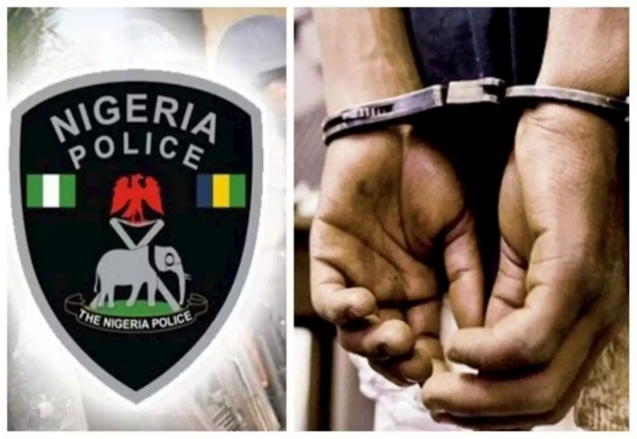 Police nab 9 suspected criminals in Imo